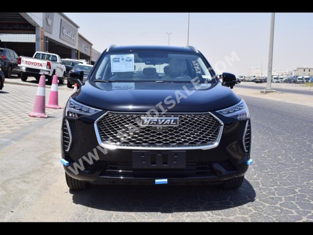 2023 هافال جوليون