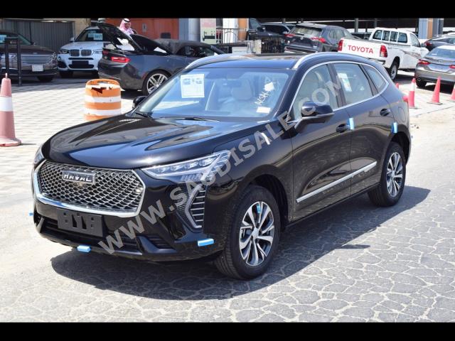 2023 هافال جوليون