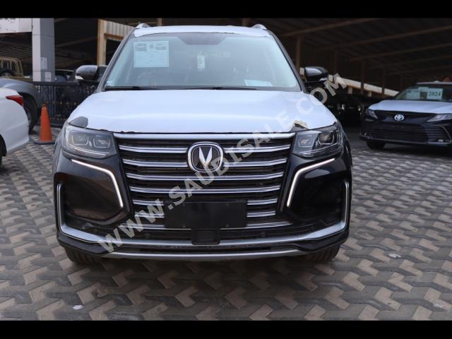 2022 شانجان سي اس 95