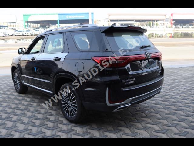 2022 شانجان سي اس 95