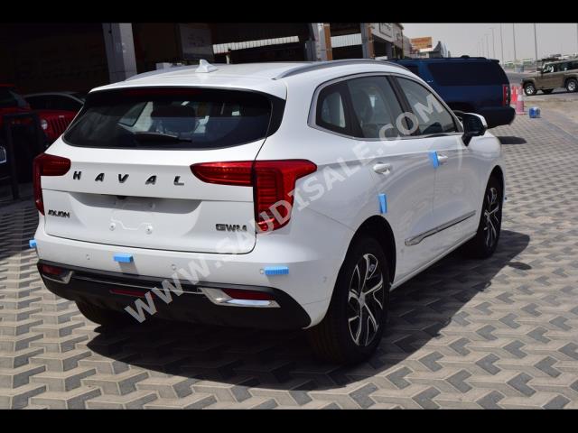 2023 هافال جوليون