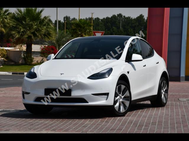 2022 تيسلا موديل واي