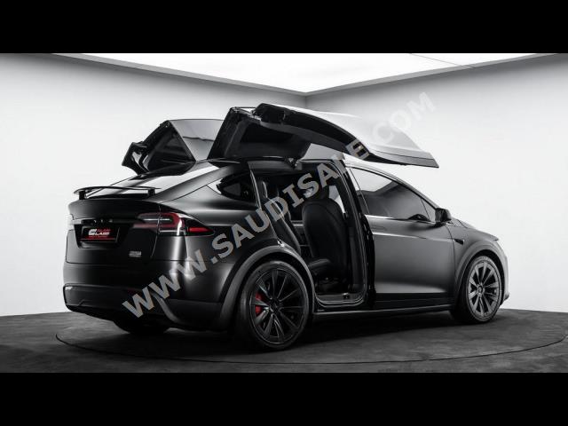 2023 تيسلا موديل اكس بليد