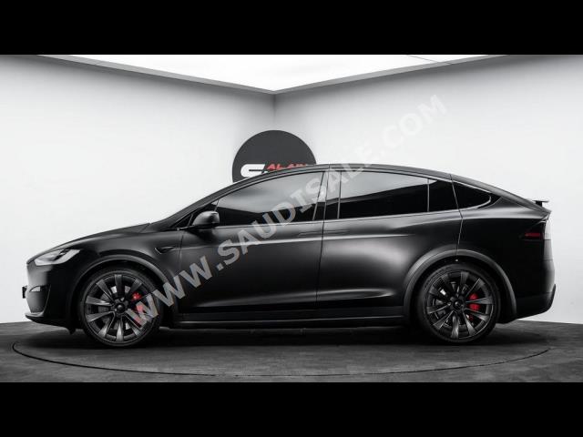 2023 تيسلا موديل اكس بليد