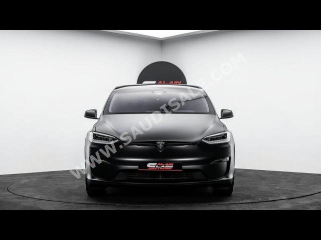 2023 تيسلا موديل اكس بليد