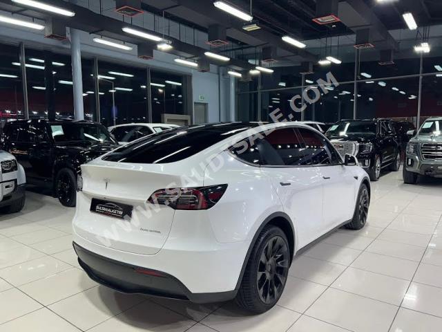 2022 تيسلا موديل واي