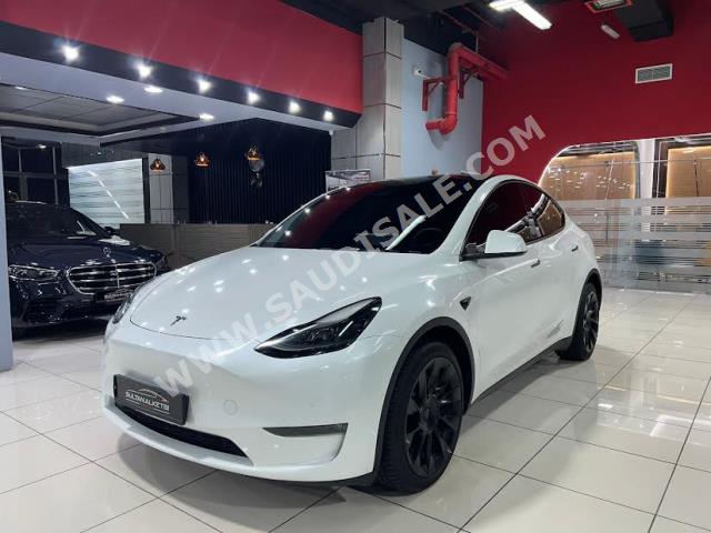 2022 تيسلا موديل واي