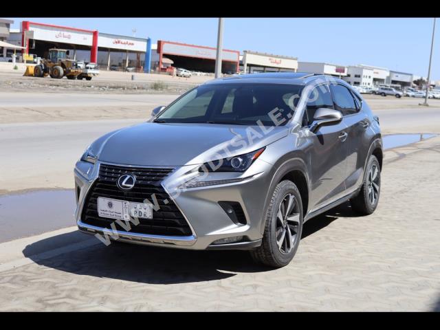 2021 لكزس إن إكس 300