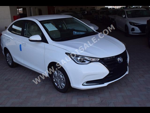 2024 شانجان في 7