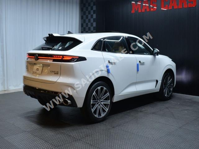 2024 شانجان يوني كي