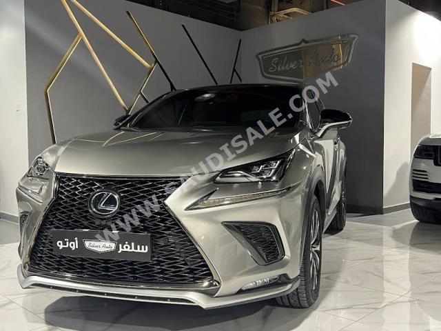 2018 لكزس إن إكس 300