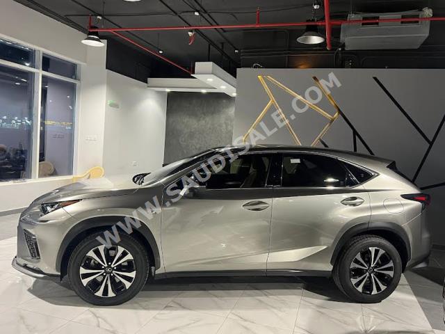 2018 لكزس إن إكس 300