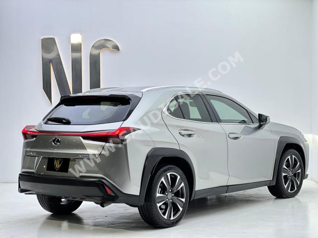 2019 لكزس يو إكس 200