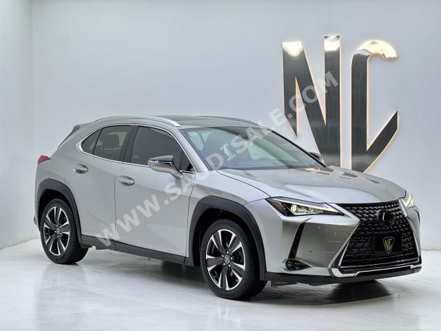 2019 لكزس يو إكس 200