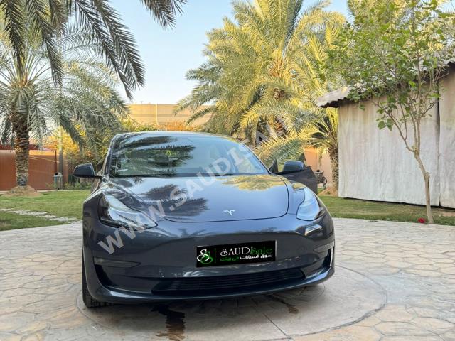 2021 تيسلا 3موديل بيرفورمانس