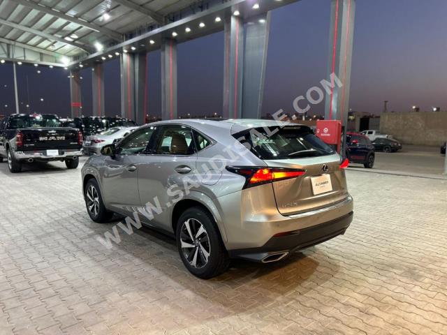 2020 لكزس إن إكس 300