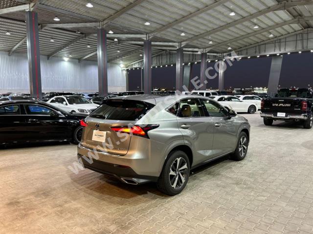 2020 لكزس إن إكس 300