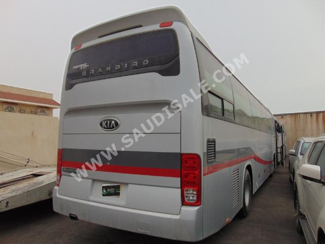 2011 Kia Granbird Silkroad