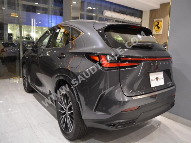 2022 لكزس إن إكس 350