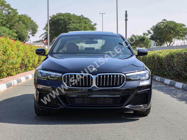 2023 BMW 5 Series 520i