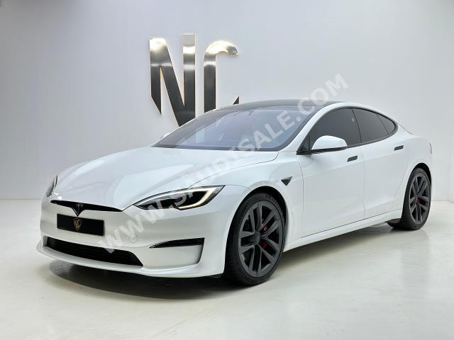 2023 تيسلا اس بليد