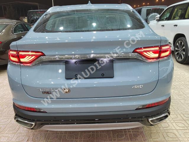 2022 جيلي توجيلا