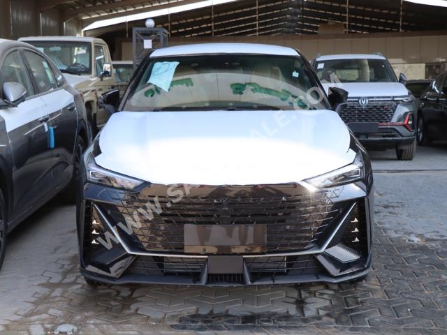 2023 شانجان يوني في