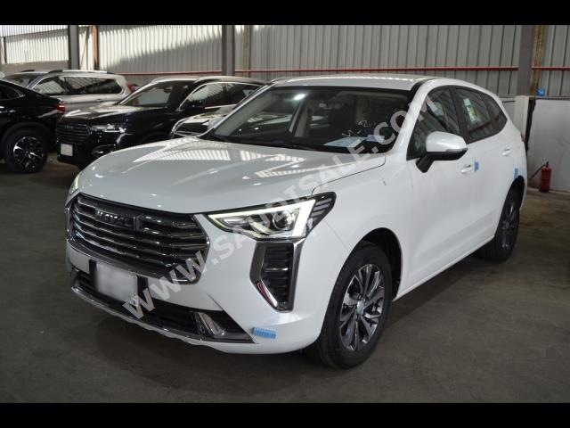 2023 هافال جوليون