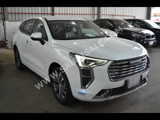 2023 هافال جوليون