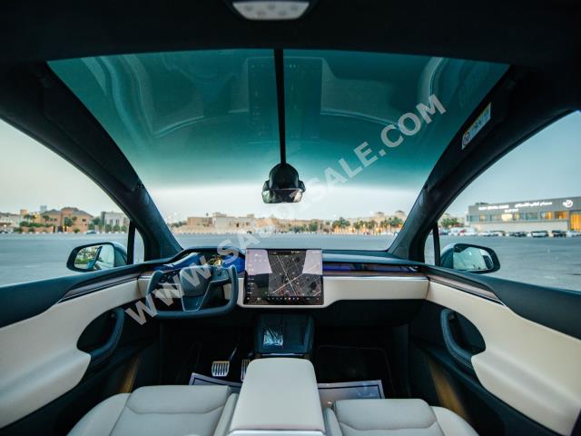 2023 تيسلا موديل اكس