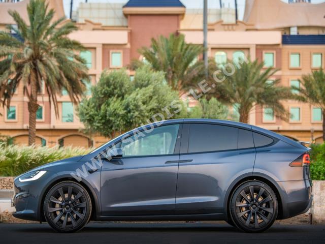 2023 تيسلا موديل اكس