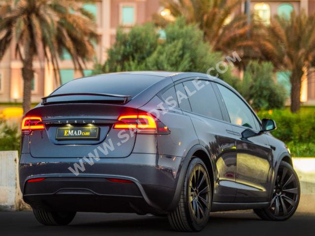 2023 تيسلا موديل اكس