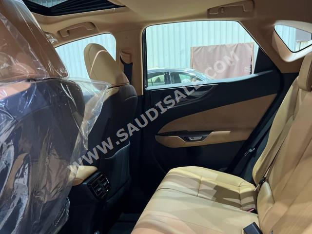 2024 لكزس إن إكس 350