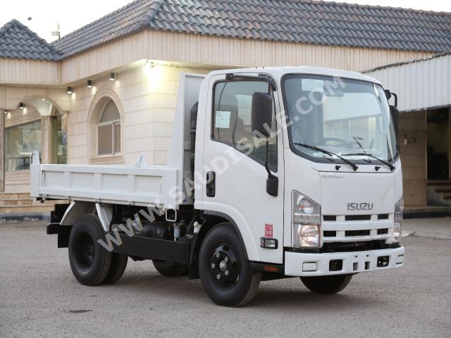 2018 Isuzu Dyna