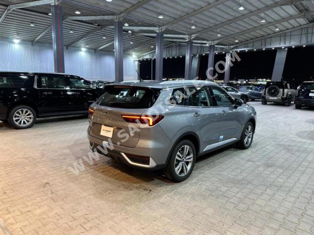 2024 فورد تيريتوري تيتانيوم بلس