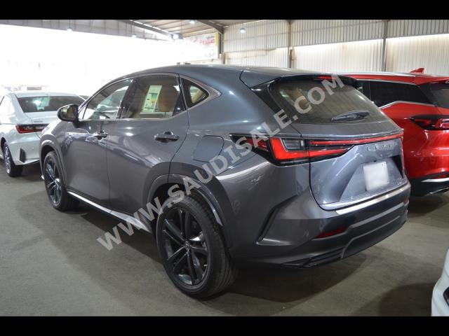 2023 لكزس إن إكس 350