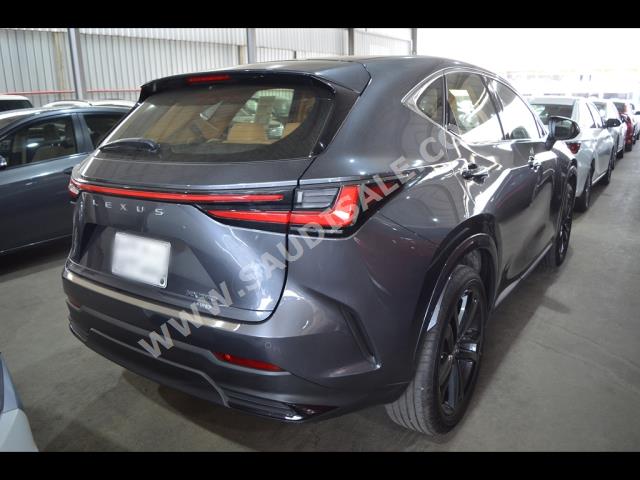 2023 لكزس إن إكس 350