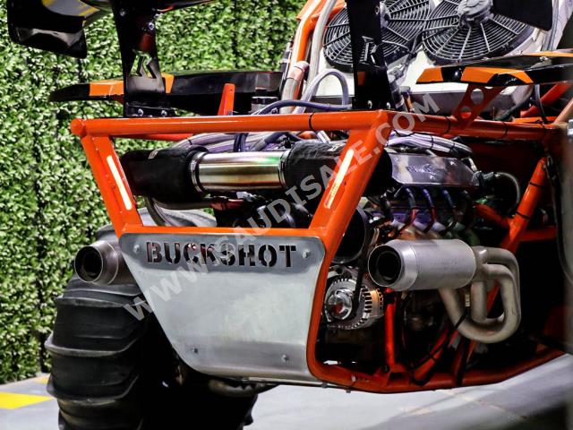 2012 Buggy Buckshot Standart