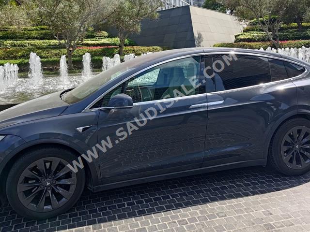 2019 تيسلا موديل اكس