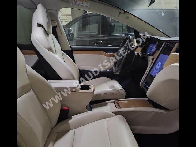 2019 تيسلا موديل اكس