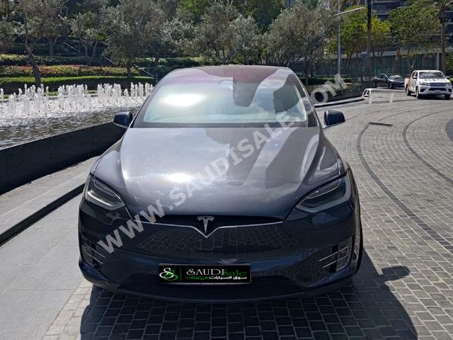 2019 تيسلا موديل اكس