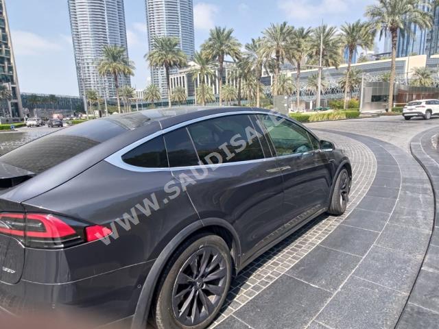 2019 تيسلا موديل اكس
