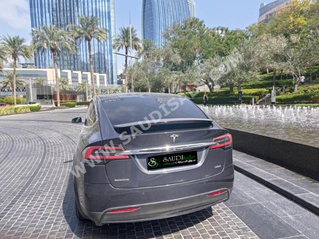 2019 تيسلا موديل اكس