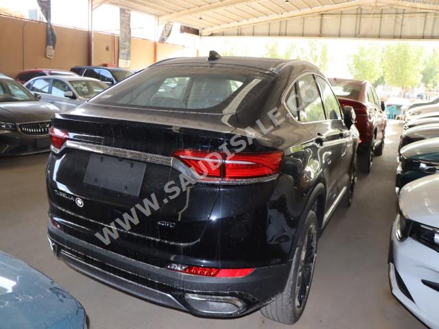 2023 جيلي توجيلا