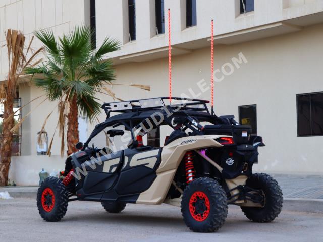 2021 كان-ام مافريك