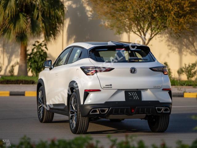 2023 Changan UNI-T standard