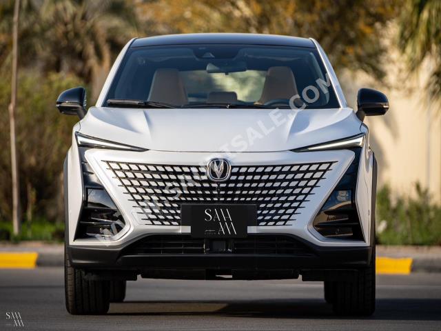 2023 Changan UNI-T standard