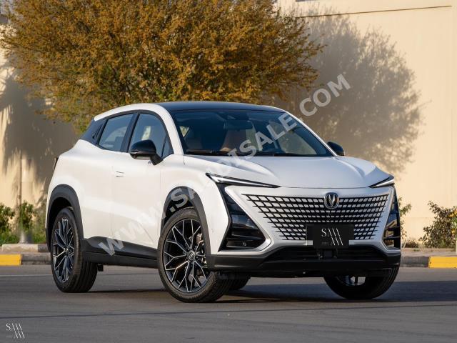 2023 Changan UNI-T standard