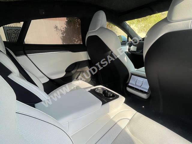 2023 تيسلا اس بليد