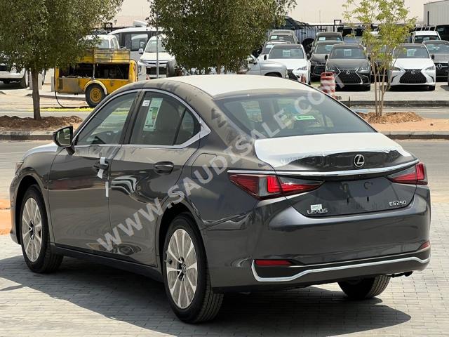 2022 لكزس إي إس 250